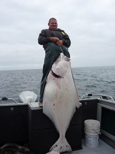 Anchor Point Halibut Fishing Charters - Catchalot Charters