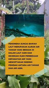 Misteri Sungai Bawah Laut: Aliran Air Tawar di Laut Asin #SungaiBawahLaut #FenomenaAlam #MisteriLaut #IlmuKelautan #KeajaibanAlam #Oceanography #virtualbrowsing | Virtual browsing