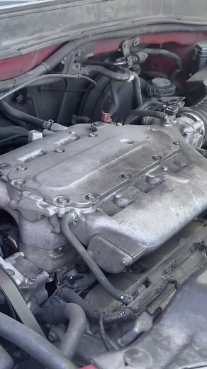 51K views · 338 reactions | Unleash the strength of Signature Series...