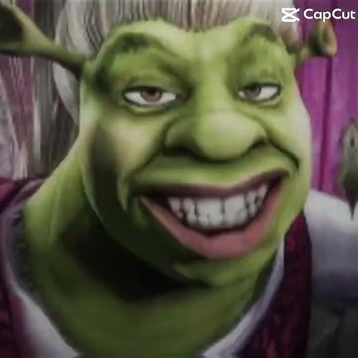 THE BEST EDIT OF SHREK