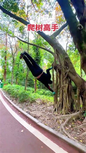 Weekend Workout: Master Tree Climbing like a Pro