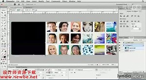 Adobe.Fireworks.CS6.基础教程 (39)