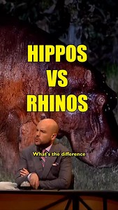 What’s the difference between a hippo and a rhino? #qi #panelshow #bestof2025 | Melanie Bracewell