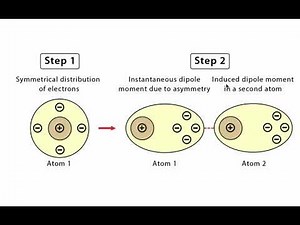[Physical Science] The Intermolecular Forces of Attraction