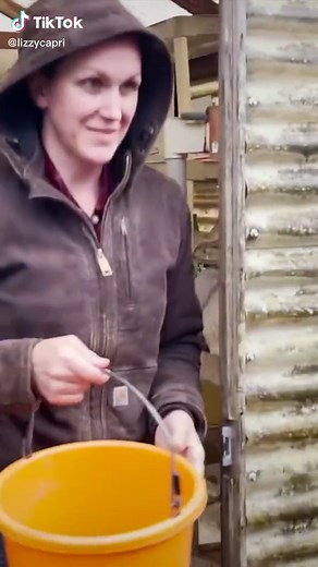 Feeding BABY GOATS!!! #babygoats #farmtok #cutenessoverload #lizzycapri #adventureawaits