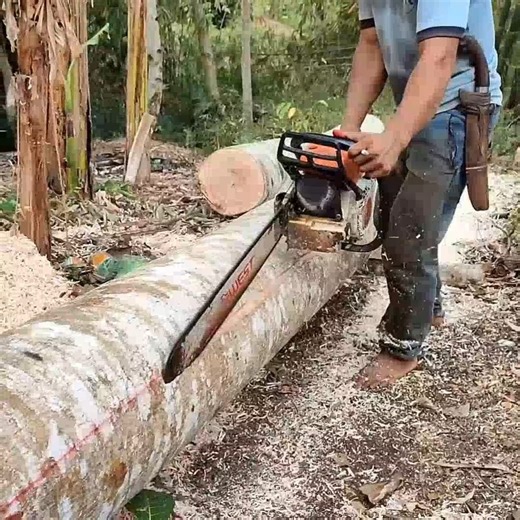 478K views · 4.6K reactions | The best skill man slicing wood in forest | Making Video | Facebook