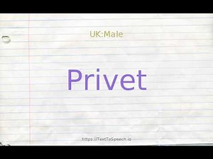 How to pronounce privet