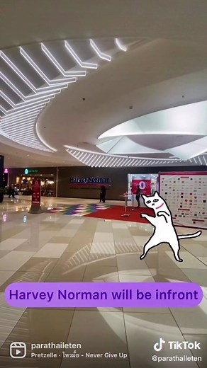 ParaThai & LèTen (@parathaileten)’s videos with original sound - ParaThai & LèTen