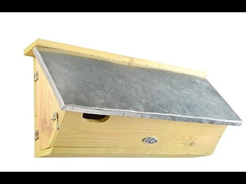 Swift nest box - review and installation