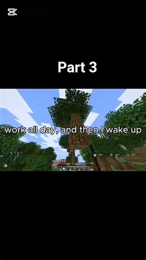 Minecraft x Life goes on part 3