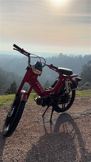 Vroom vroom moped go fast