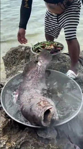 Beach Catch and Cook: Big Fish & Eel Boil! 🔥