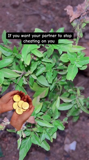 Effective Love Spell Techniques You Should Know