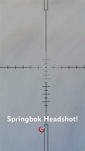 Springbok Headshot! #hunting #springbok #headshot #triggercam