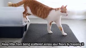 11K views · 388 reactions | The Best Gift for cat owners! Cleaner Floors Start Today – BlackHole Litter Mats help keep litter from being tracked or scattered across your floors by trapping it in our dual-layer design. | Blackhole Cat Litter Mat | Facebook