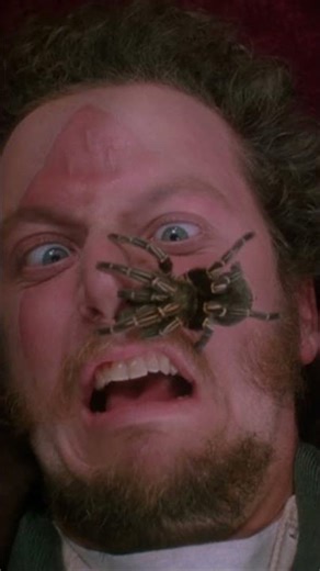 How was the spider scene in Home Alone filmed?