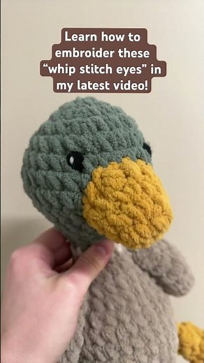 🤩 Learn how to embroider these eyes! Video linked!! #crochet #embroideredeyes