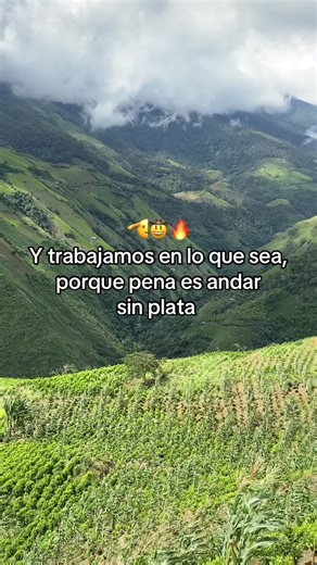Exploring Terraced Fields in Lush Mountain Landscapes