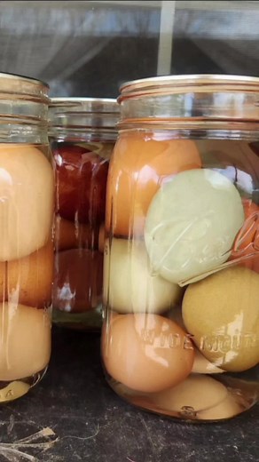 How to Rebel Can Farm Fresh Eggs Using a Pressure Canner