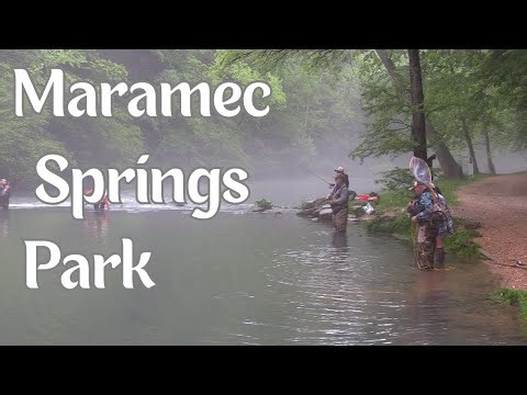 Trout Fishing at Maramec Spring Park | Legends of the Outdoors
