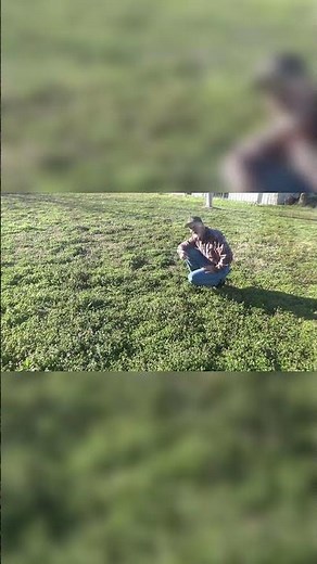 How to Stop Bermuda Grass from Ruining Your Garden