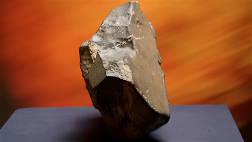 Largest known Martian meteorite on Earth sells for $5.3 million at auction