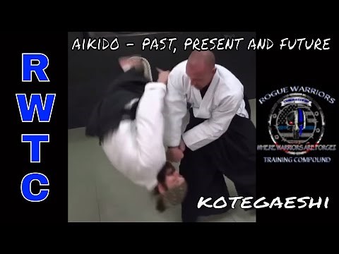 Most effective wrist lock in aikido
