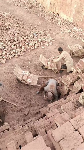 Daily Insights on Quality Bricks for Builders