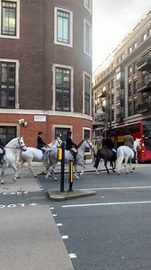 Traffic in Westminster | Hidden London