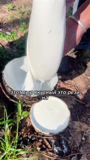 What Type of Cheese Is This?