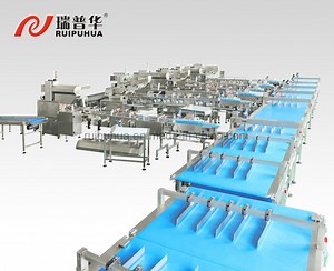 [Hot Item] Chinese Large Capacity Automatic Rice Cake Biscuit Packing Machine System Price From China