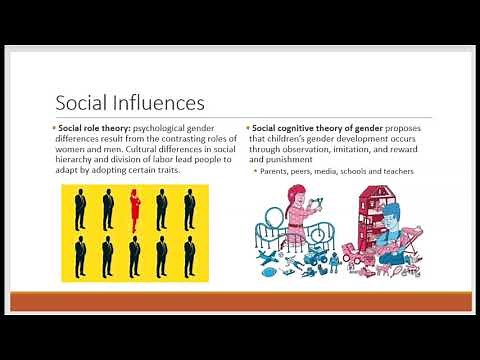 Biological, Social, and Cognitive Influences on Gender