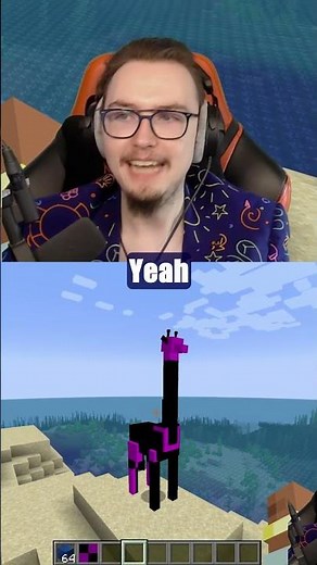 Building A Giraffe in Minecraft... It Just Works!