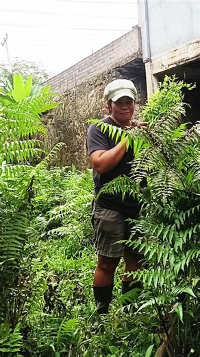 rayuan maut anak tetangga raib pakis segenggam#shorts#rayuanmaut#pakis