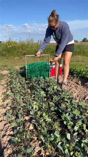 We didn’t become faster by hustling harder. We became faster by changing how the work flowed. The Quick Cut Greens Harvester turned one of our slowest jobs into a simple five-minute system. That single shift transformed bagged greens into one of the most profitable crops on our farm. Faster harvesting meant: ✅ More bags packed ✅ More product on the table ✅ More consistency week after week ✅ More money staying in our pocket Speed isn’t about rushing. It’s about removing the bottlenecks that quiet