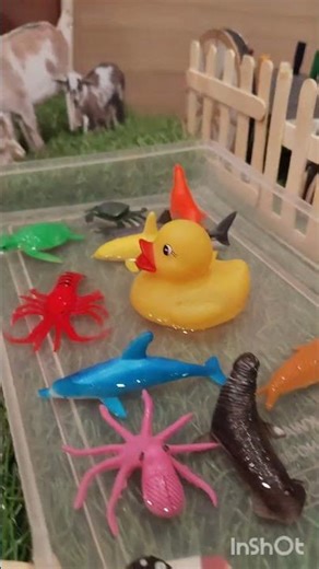 #Pongal model set up# pongalo Pongal ❣️❣️❣️