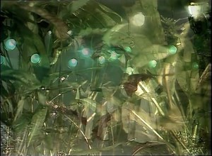 4.5K views · 107 reactions | Artist: ‎Boney M Title: Rivers Of Babylon Released: 1⃣9⃣7⃣8⃣ TV program: TopPop #Staysave | Remember The 70s And 80s | Facebook