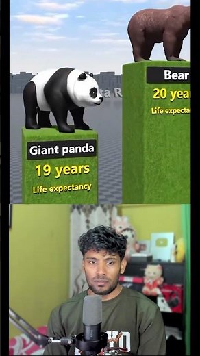 Animal Lifespans Shortest to Longest!