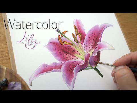 How to paint a Stargazer Lily flower 🌺 watercolor painting tutorial