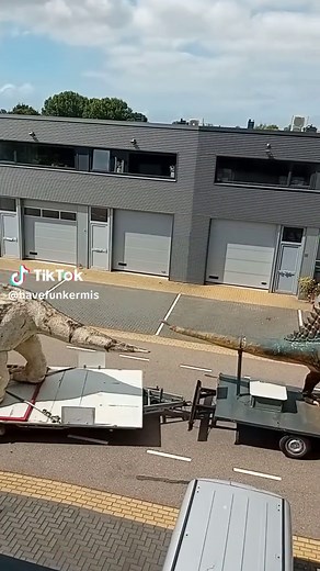 Ontdek de wereld van dinosaurussen in het park