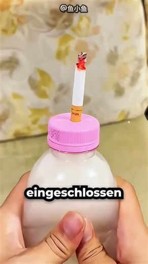 So Schädlich Ist Eine Zigarette Für Den Körper 😱🚬