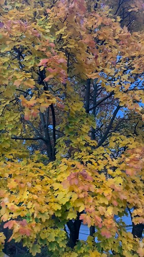 The weird little upstairs balcony provides the perfect perch for a windy day. | Still Point Gallery & Boutique