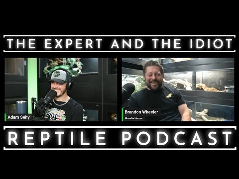 109 - Brandon Wheeler Returns From Morelia House - The Expert and The Idiot - A Reptile Podcast