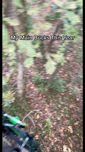 let one of them walk out in front of me 🤘🏻#greenscreen #greenscreenvideo #fyp #deerhunting #pse #bowhunting