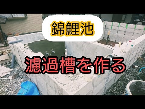 錦鯉自宅池【濾過槽を作る】池作り アクアリウム 飼育 Amazing Koi ปลาคราฟ
