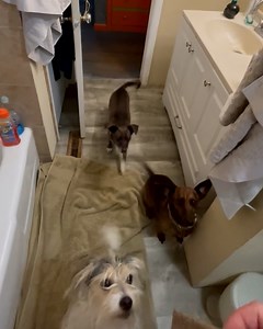 24K views · 154 reactions | Think smarter, not harder  | Lessons Learned In Life | Facebook