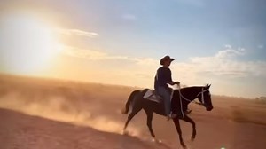 Life on a cattle station in outback Queensland