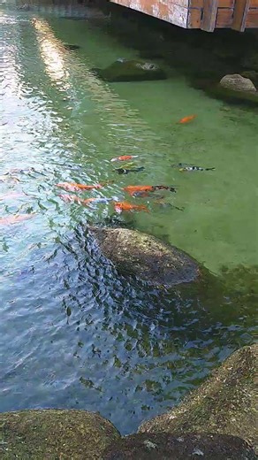 Hotel fasano #resort #paisagemnatural #travel