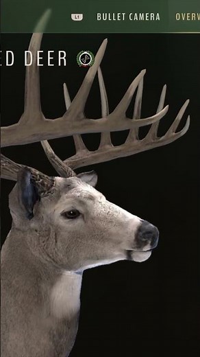 BIG Whitetail Buck vs. Crossbow! Way of the Hunter! #wayofthehunter #hunting #bigbuck #whitetaildeer