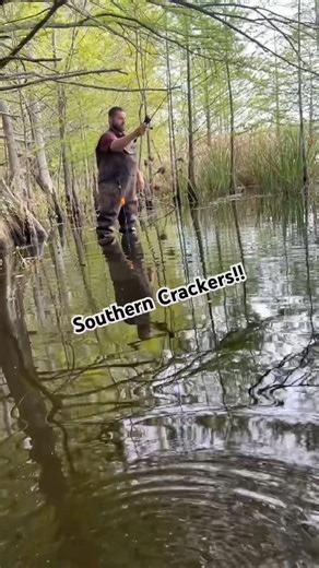 #santee #fishing #fish #outdoors #shellcrackers #viral #acccrappiestix #santeecooper #relaxretreat